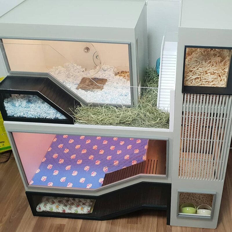 Южнокорейские дизайнеры строят минидворцы для хомяков домашние животные,интерьер и дизайн,наши любимцы