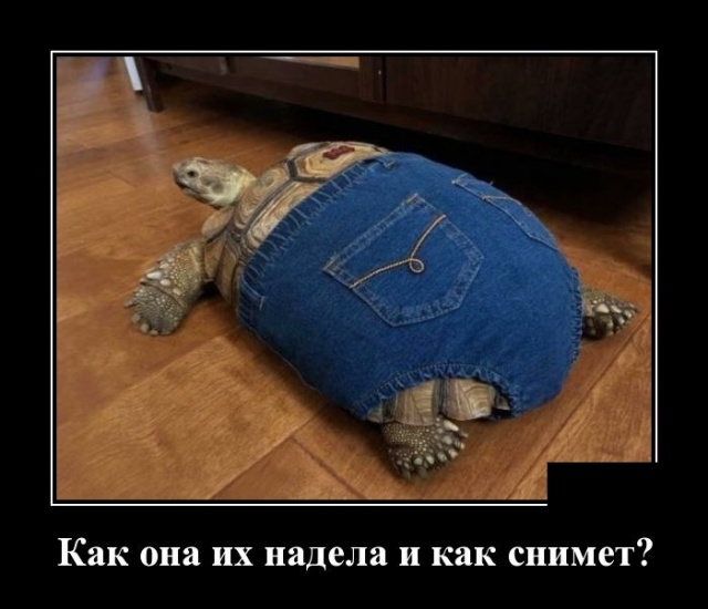 Демотиваторы 