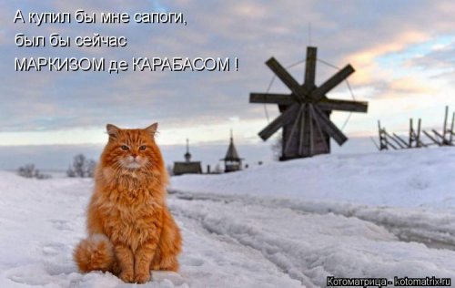 Новая котоматрица (26 шт)