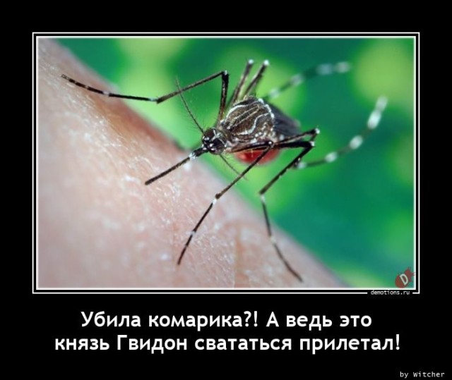 Свежий сборник прикольных демотиваторов: «С добрым утром!»  