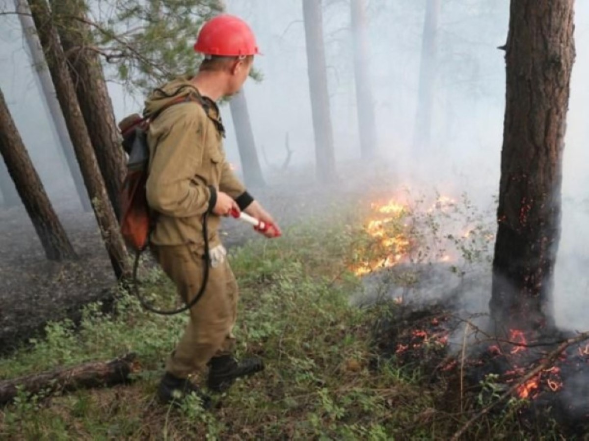 В Хабаровском крае потушили семь таежных пожаров на 56759 гектарах