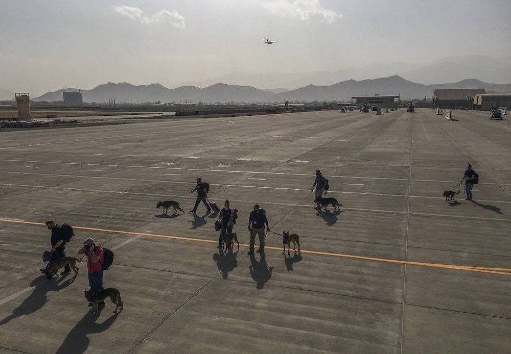 800 человек, 1 самолет: Хаос в эвакуации из Афганистана