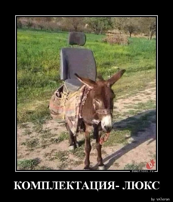 Демотиваторы для всех: «Режим игры — mega hard» 