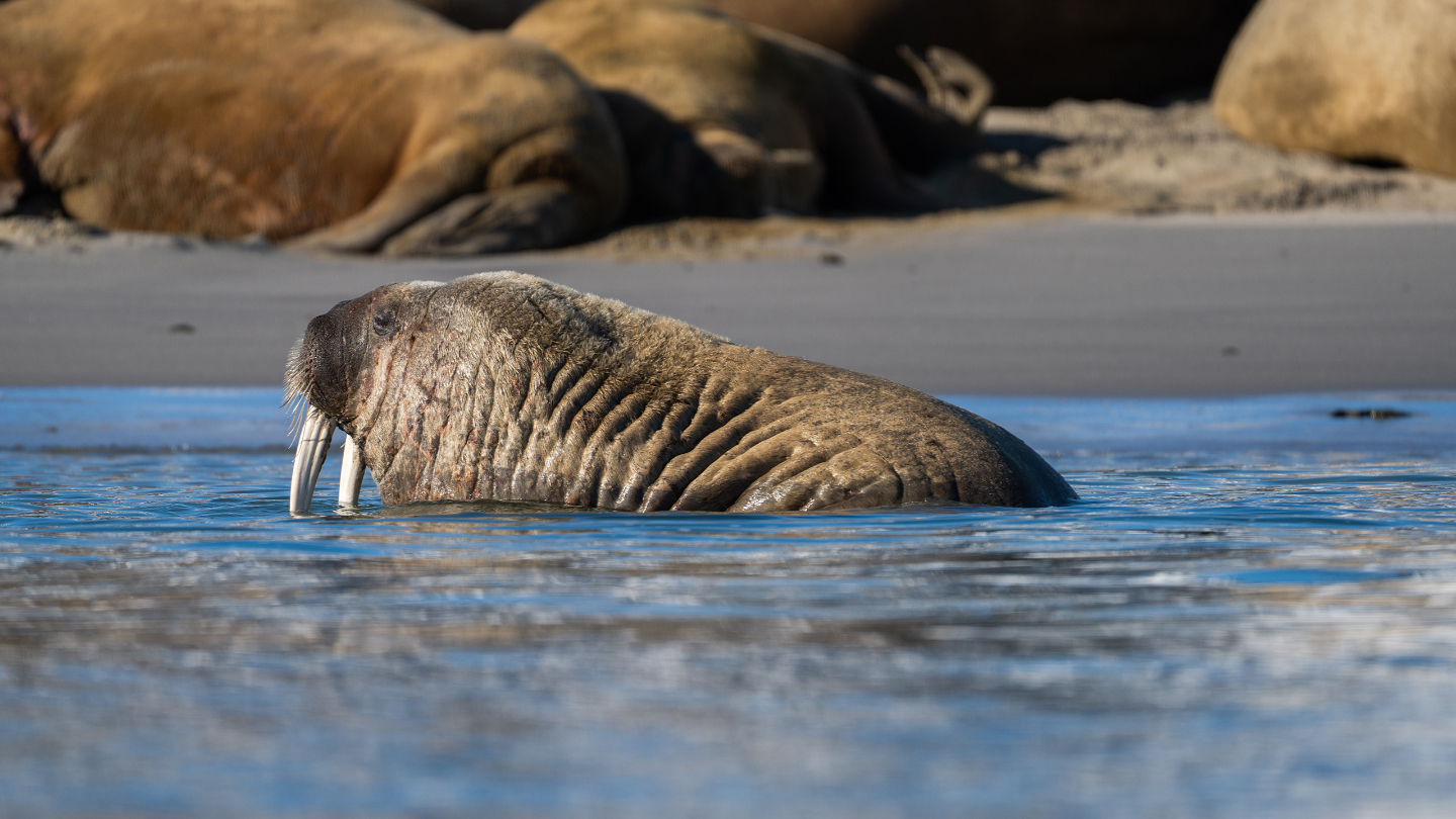Интересные факты