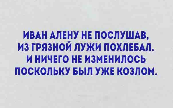 Уморительные стишки о жизни. Все как есть! 