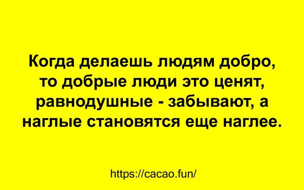 Задорные жизненные цитаты с нотками юмора Задорные жизненные цитаты с нотками юмора