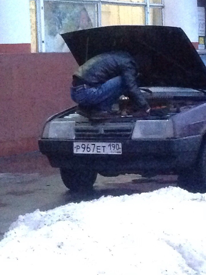 Подборка интересных и веселых картинок №55 Подборка интересных и веселых картинок №55 отдых