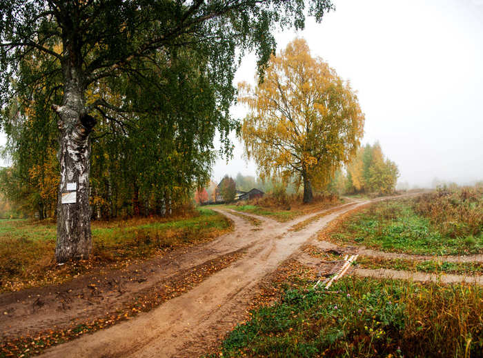 Деревенскими дорогами... 