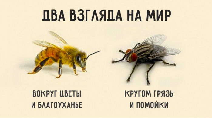 ÐšÐ°Ñ€Ñ‚Ð¸Ð½ÐºÐ¸ Ð¿Ð¾ Ð·Ð°Ð¿Ñ€Ð¾ÑÑƒ ÐŸÑ€Ð¸Ñ‚Ñ‡Ð° Ð¾ Ð¿Ñ‡ÐµÐ»Ðµ Ð¸ Ð¼ÑƒÑ…Ðµ