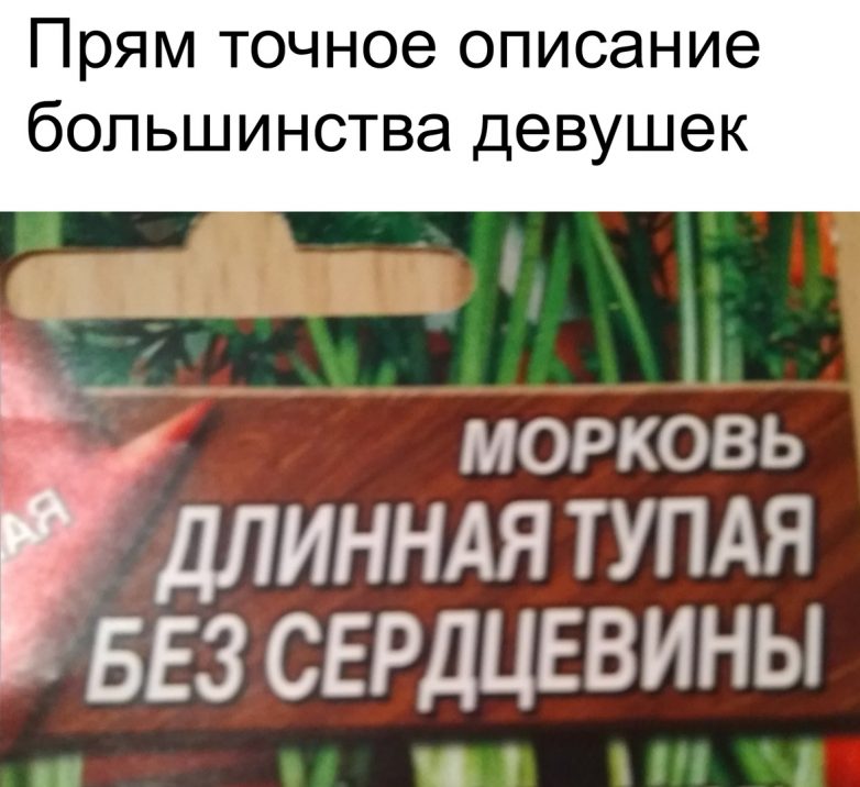 25 лучших приколов для поднятия настроения на все ближайшие дни смешные картинки