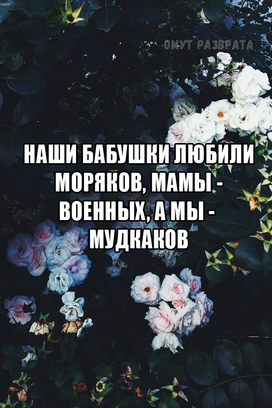 Настоящий джентельмен - это тот, кто кошку всегда называет кошкой, даже если он о нее споткнулся и упал...)) веселые картинки