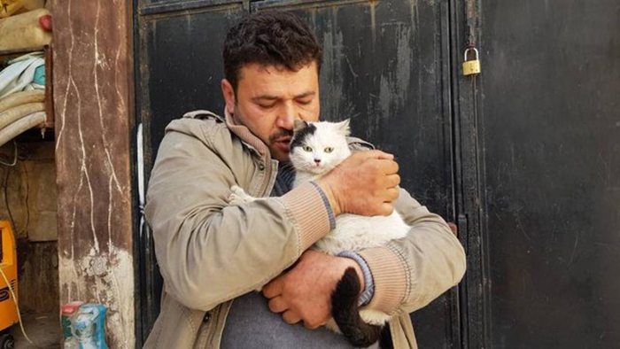 В приюте Il Gattaro D'Aleppo.