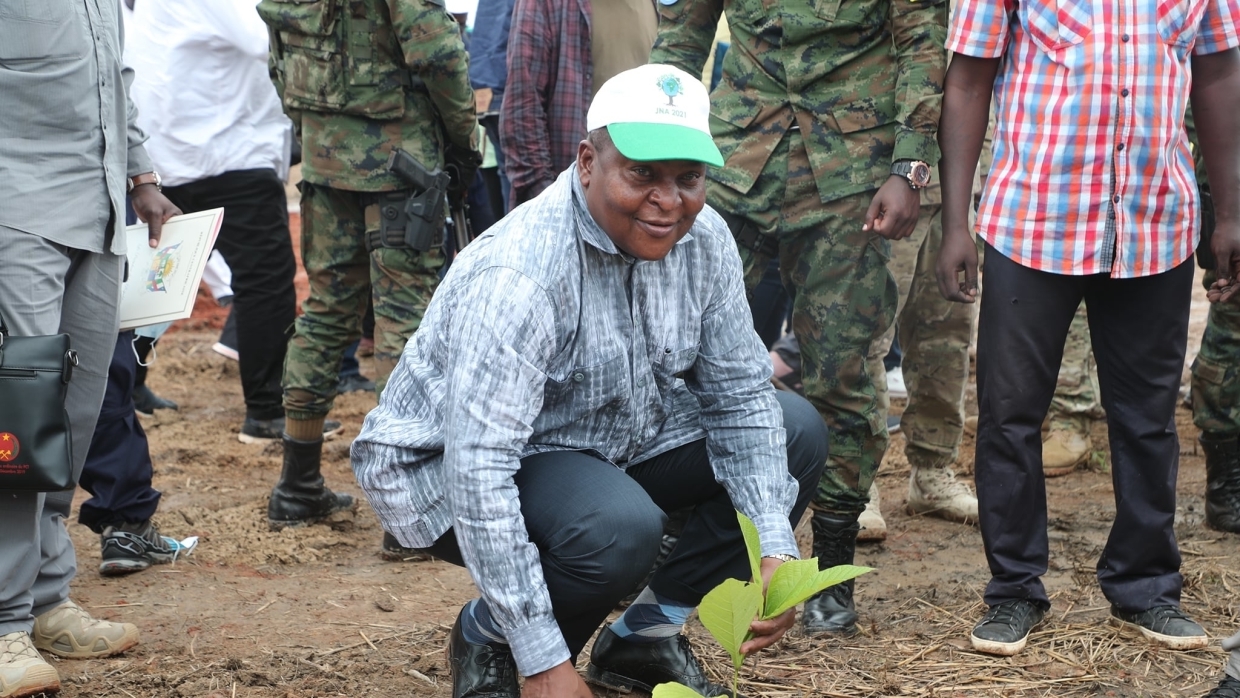Представители власти ЦАР приняли участие в церемонии посадки деревьев