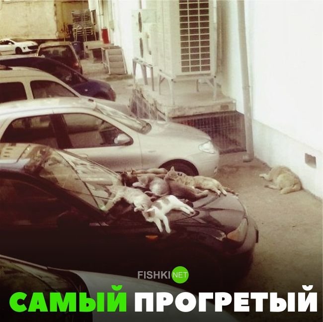 Большая подборка автоприколов авто