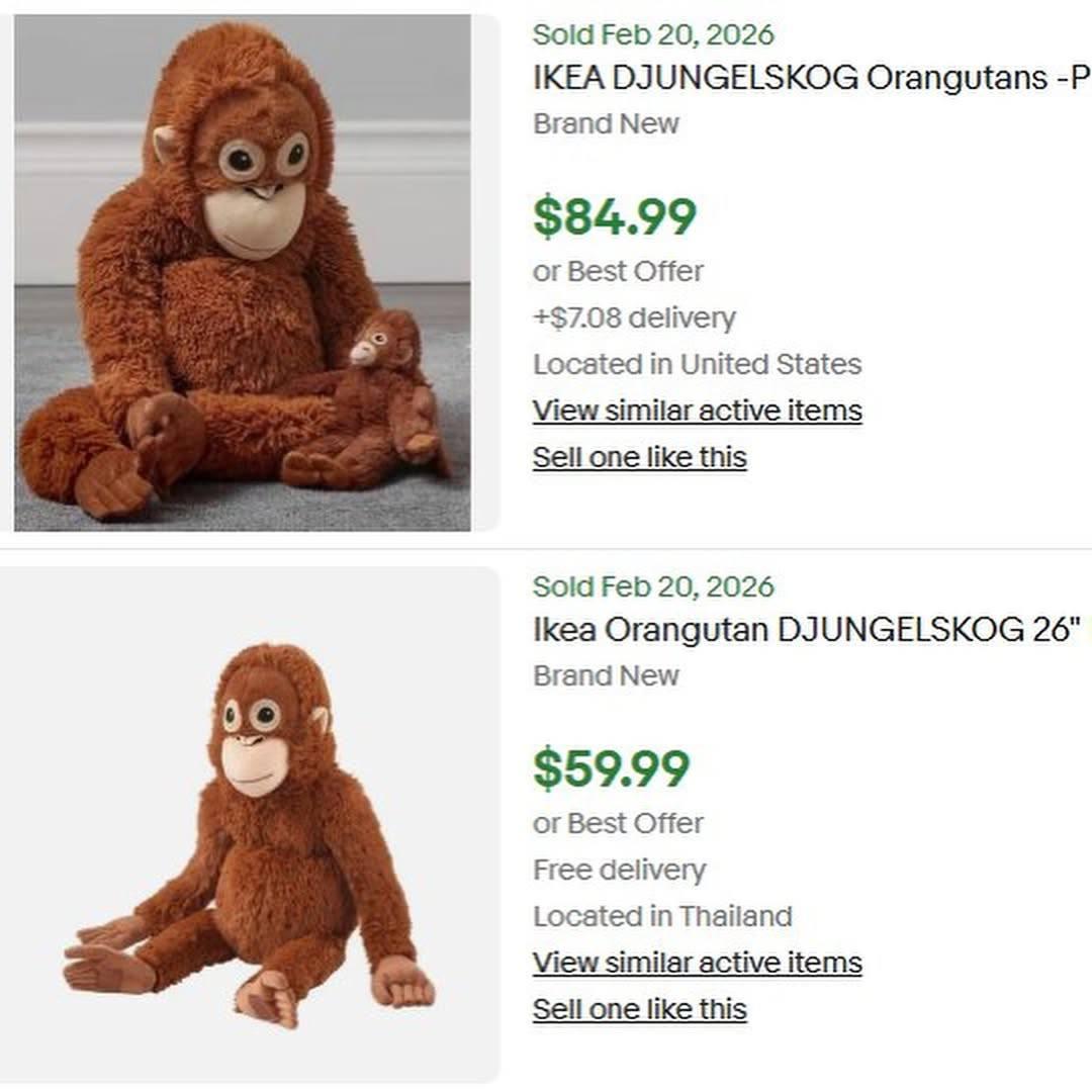 Впервые познал живые объятия и первый раз постоял за себя: новости про обезьянку Панча, за которой следит весь мир Панча, зоопарка, малыша, игрушку, чтобы, только, обезьянки, теперь, Панчу, стали, обезьян, которые, точно, долларов, макака, своих, более, своей, матерей, обезьяна