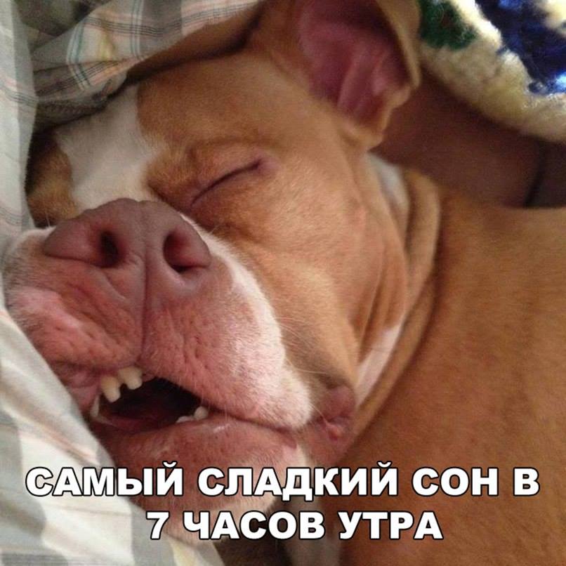 Картинки для вашего отличного настроения картинки