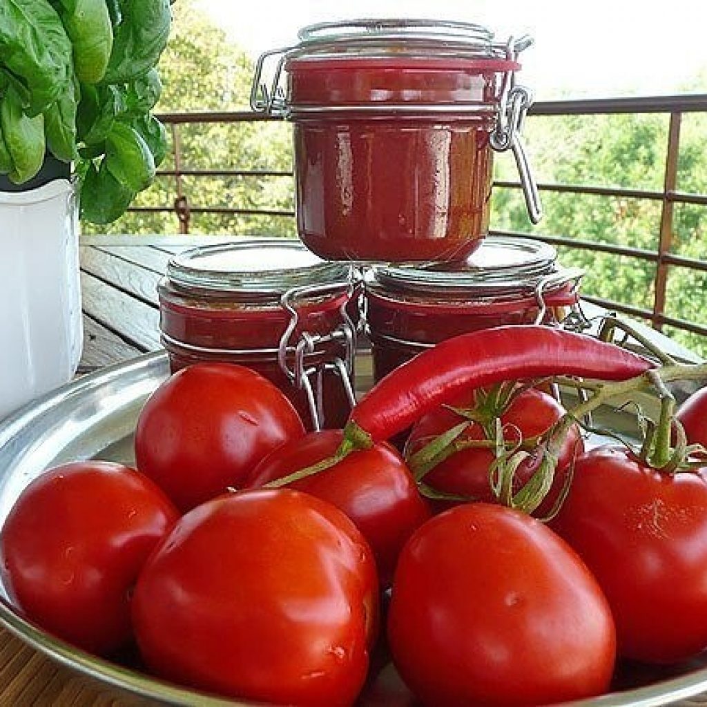 5 рецептов приготовления домашнего кетчупа
