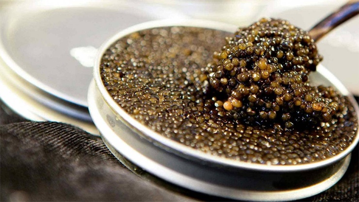 Топ-10 самых дорогих продуктов в мире Топ-10 самых дорогих продуктов в мире еда