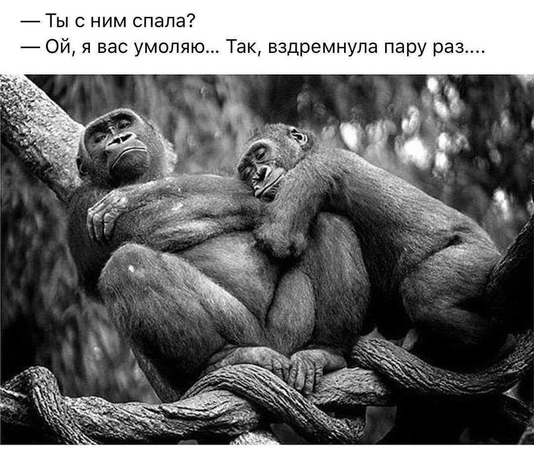 Мальчик получил на день рожденья не то, что хотел, поэтому со стула он сказал не то, что учил анекдоты,веселые картинки,демотиваторы,юмор