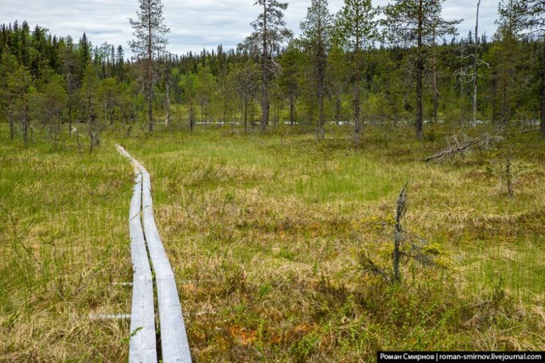 Северная сказка: заповедная Карелия Северная сказка: заповедная Карелия