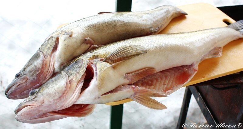 Судаки копчёные Судаки копчёные