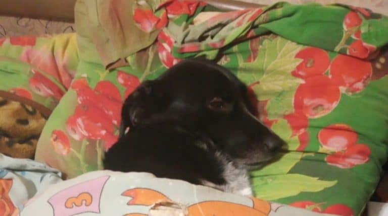 BeFunky-collage (41)