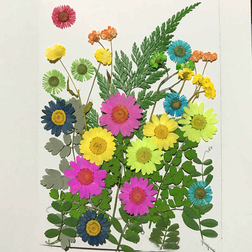 Цветы из бумаги - миниатюрный бумажный гербарий