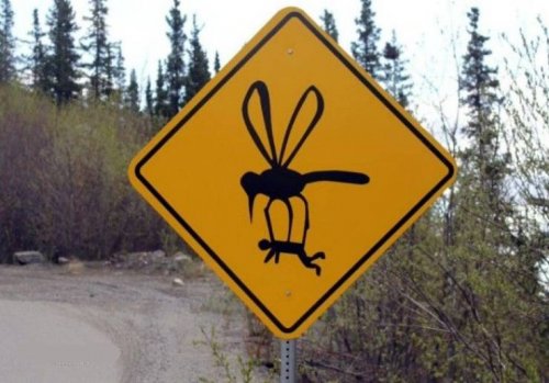 Что здесь происходит?! 