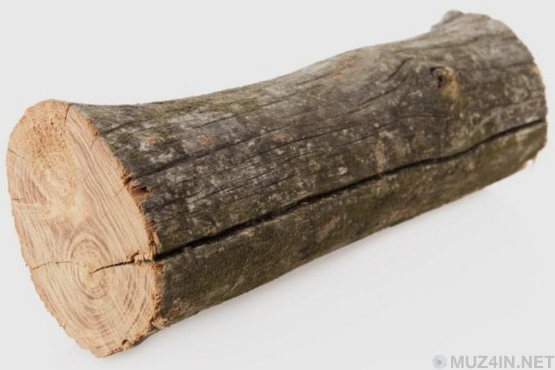 Удивительные факты о сне, спальнях и кроватях интересные факты,интерьер и дизайн