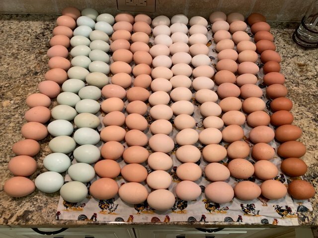 Бытовые перфекционисты, у которых потрясающий порядок дома, в гараже и на даче Бытовые перфекционисты, у которых потрясающий порядок дома, в гараже и на даче