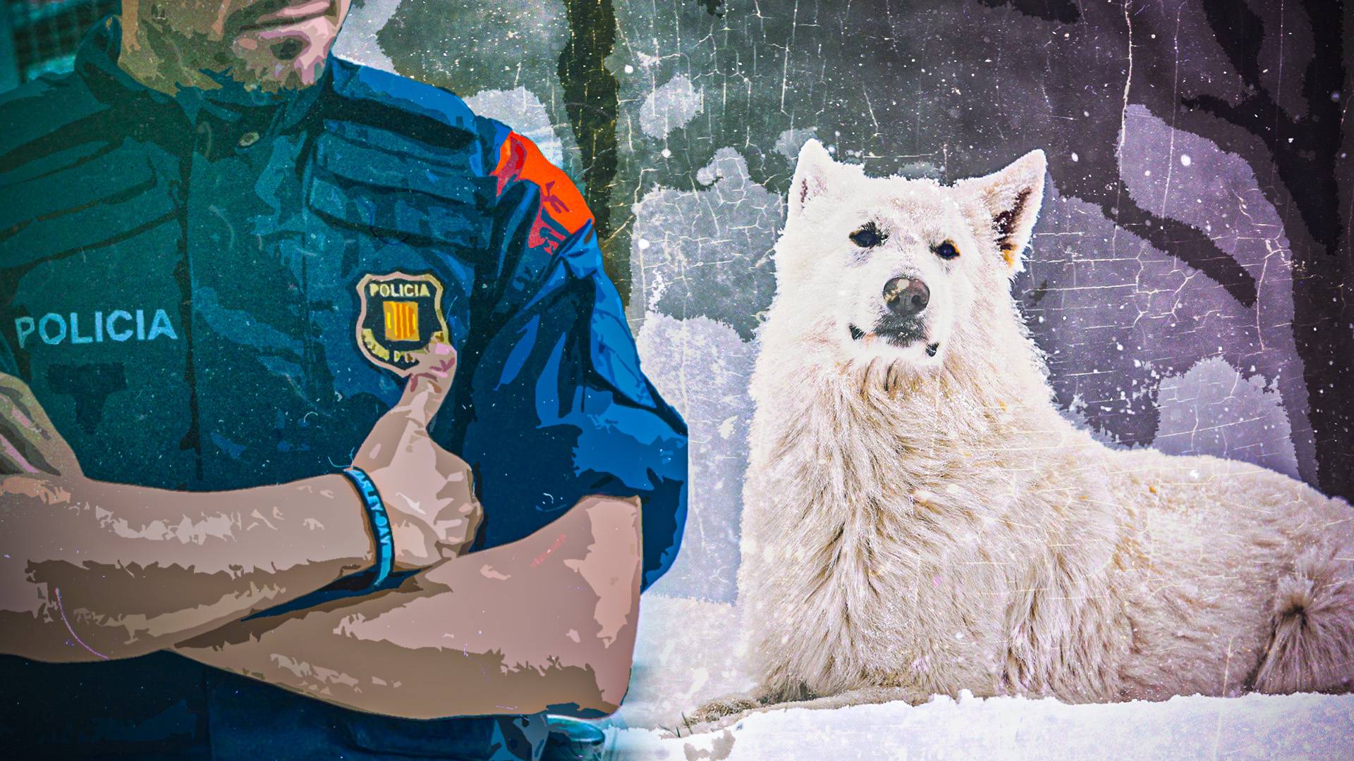 Испанские полицейские спасли тонущую собаку из ледяного водоема Общество
