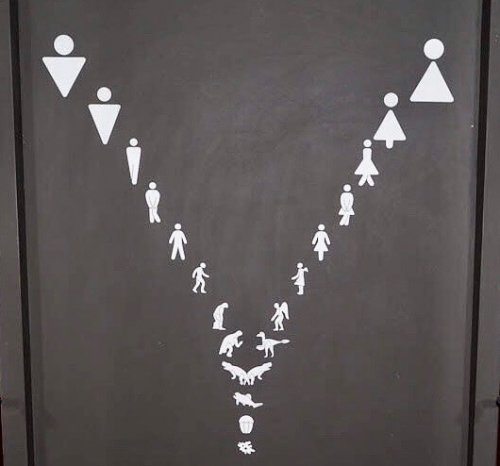 Прикольные и необычные таблички для туалетов