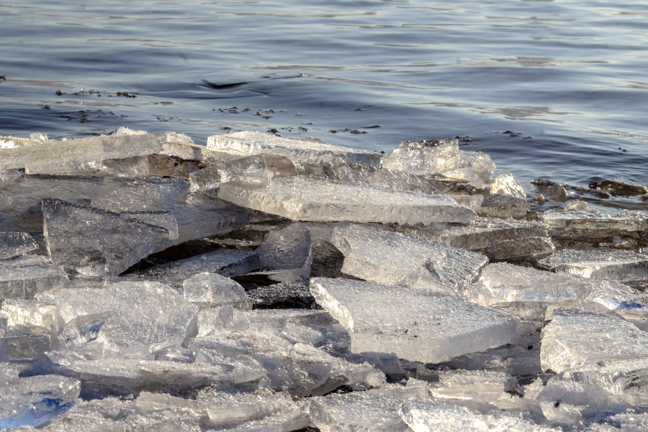 Когда водоемы полностью очистились ото льда 2024. Водоемы вскрылись ото льда. Ледоход в Архангельске 2024. Лед на финском заливе. Ледоход на Северной Двине сегодня.