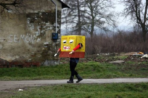 Что здесь происходит?! Что здесь происходит?! смешные картинки