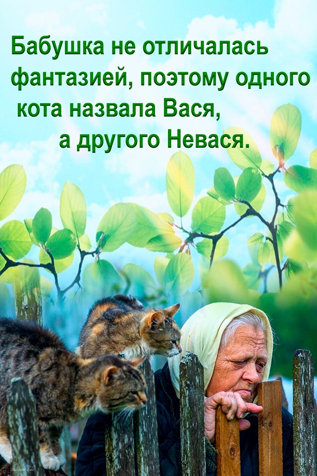 Только что закончилась Гражданская война, дефицит продовольствия... Весёлые,прикольные и забавные фотки и картинки,А так же анекдоты и приятное общение