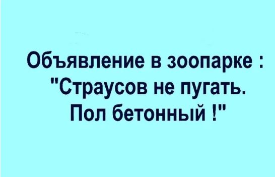 Иногда кажется, что женщины с картин Рубенса вот-вот убегут обратно в бухгалтерию анекдоты