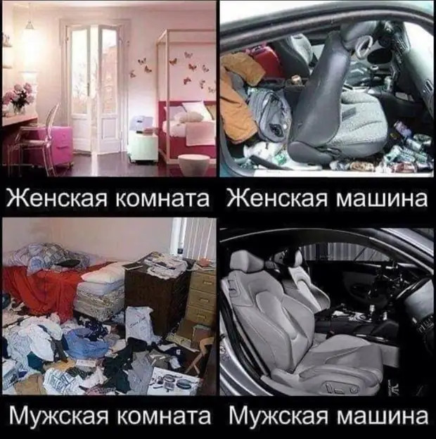 «Ещё один потерял голову от любви ко мне», — вздохнула самка богомола и нарисовала очередную звездочку на дереве 