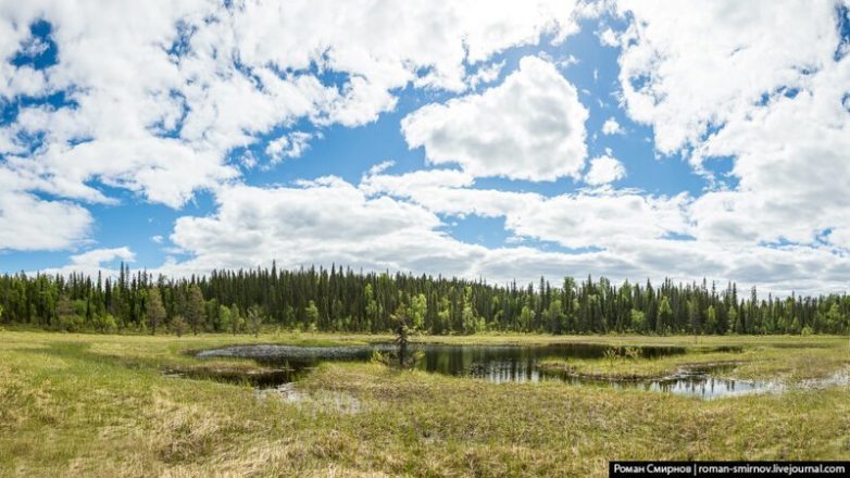 Северная сказка: заповедная Карелия Северная сказка: заповедная Карелия