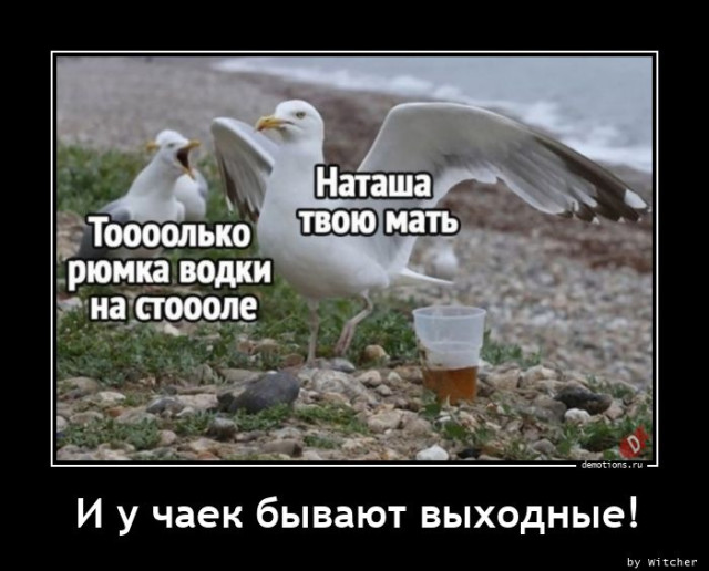 Демотиваторы на любой вкус: «Когда пельмени ещё не остыли» 