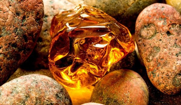 Янтарь для Льва