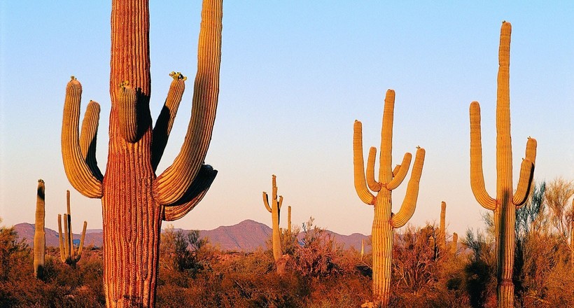 Nature desert scenery widescreen  02 31 1440x900