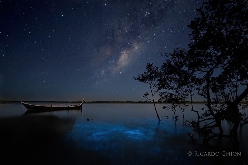 Фотограф запечатлел Млечный Путь и биолюминесцентные воды одновременно