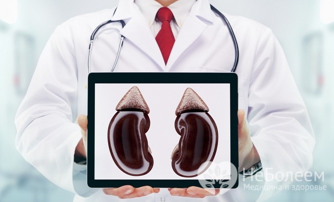  Патологии почек – одна из причин отечности ног 