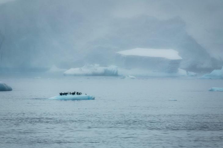 шорт лист конкурса Earth Photo 2018 7