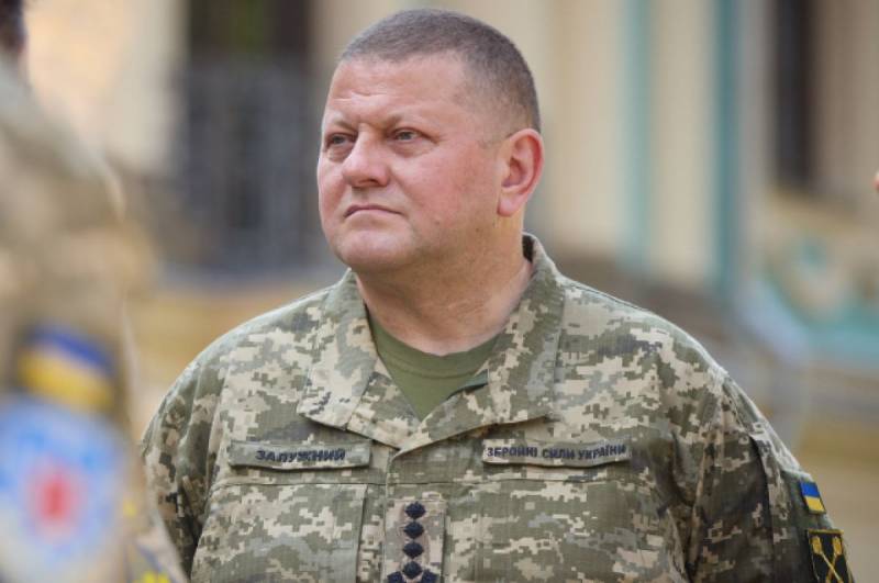 Украину попытаются превратить в казарму Украину попытаются превратить в казарму украина