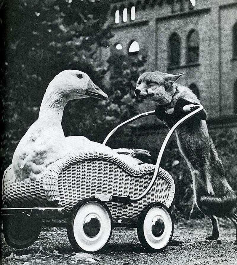 Лови момент истории: 35 самых удачных фото, украшавших журнал LIFE 