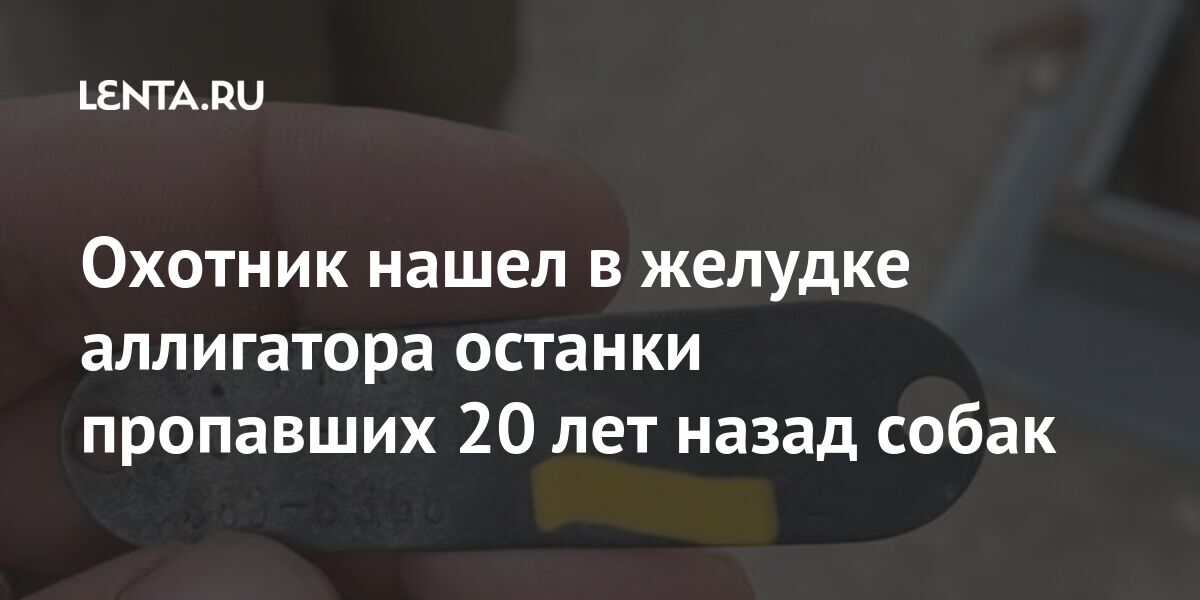 Охотник нашел в желудке аллигатора останки пропавших 20 лет назад собак Из жизни