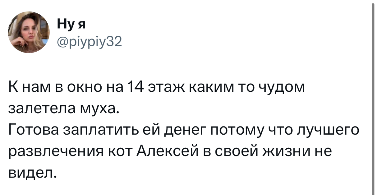 Глаза боятся, руки из попы, но я не сдаюсь! город Пенза г,о,[95246842],г,Пенза [1011123],Пензенская обл,[1011073]