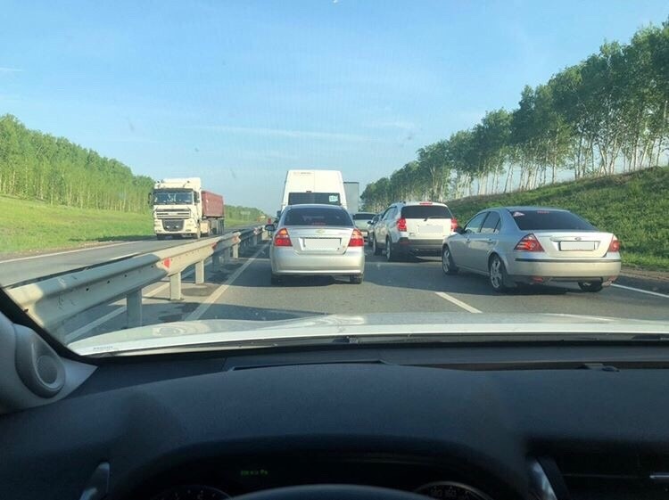 Куры на дороге Куры на дороге аварии,авто,дтп,НОВОСТИ,пдд,происшествия