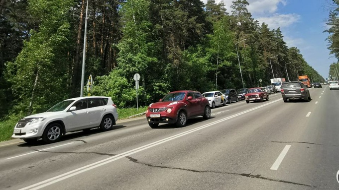 Ленточный Бор / Фото читательницы amic.ru